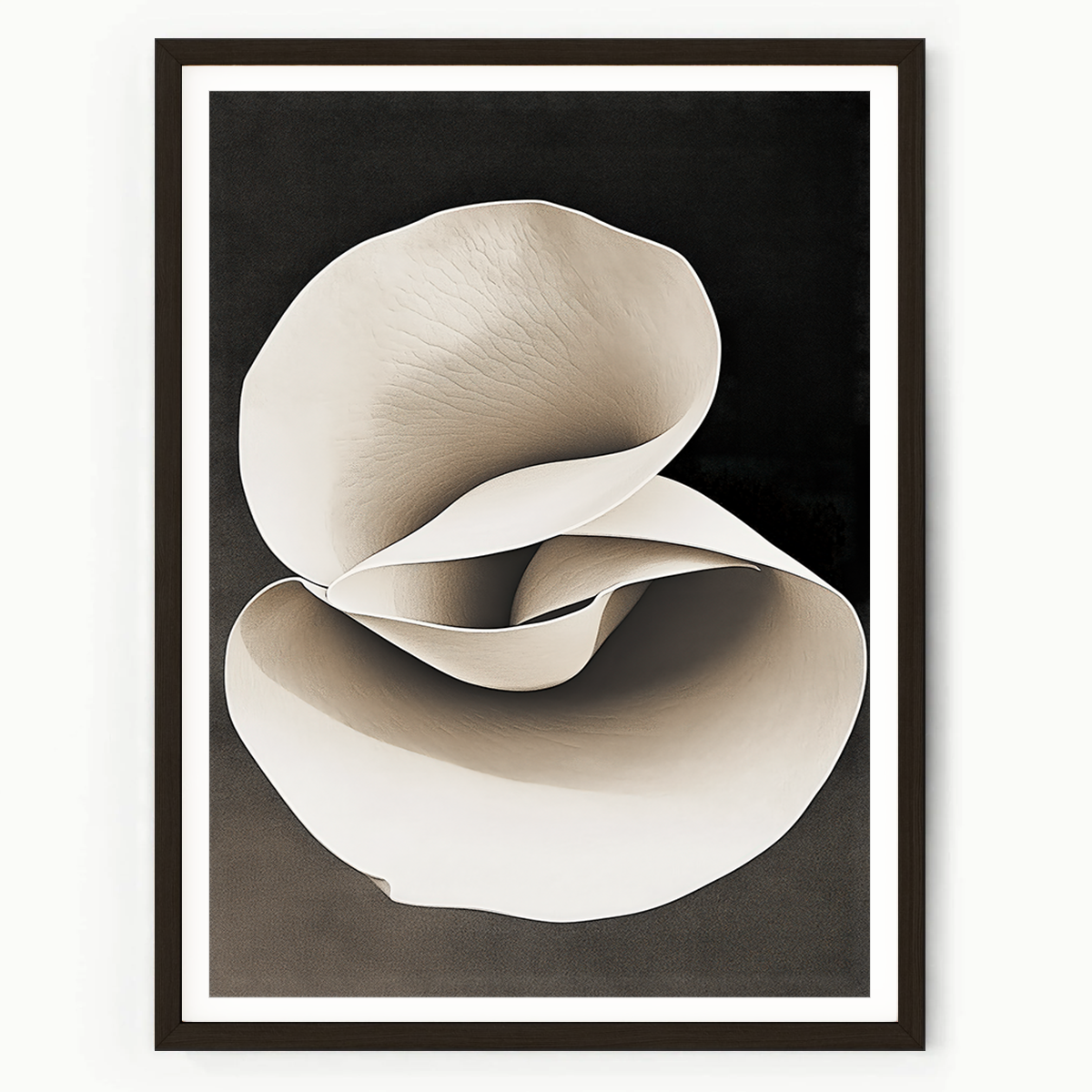 framed minimalist botanical abstract wall art
